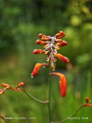 IMG_20240712_104855.jpg