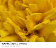 sukashi_20240712_194650.jpg