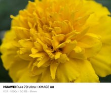 sukashi_20240712_194643.jpg