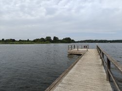 IMG20240712132918.jpg