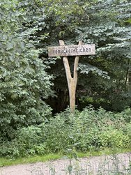 IMG_5837.JPG