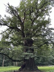 IMG_5605.JPG