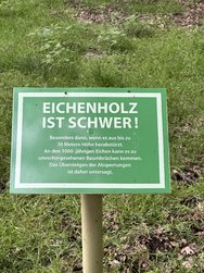 IMG_5597.JPG