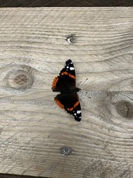 IMG_5738.JPG
