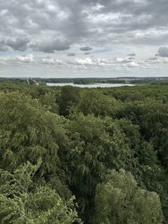 IMG_5780.JPG
