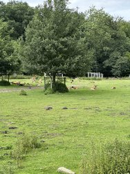 IMG_5632.JPG