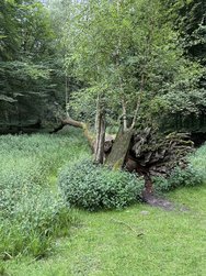 IMG_5692.JPG