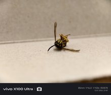 IMG_20240712_234918.jpg