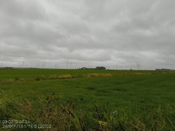 IMG_20240713_090353740.jpg