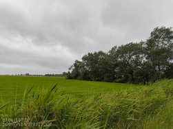 IMG_20240713_090401058.jpg