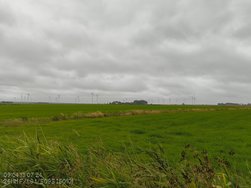 IMG_20240713_090406388.jpg