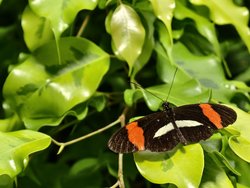 IMG_20240713_161643_212.jpg