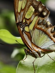 IMG_20240713_161651_436.jpg