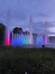 IMG_20240713_220924231.jpg