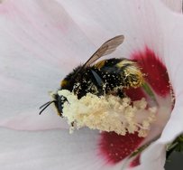 PXL_20240714_124306207~2.jpg