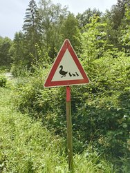 12 MPX Nature_7.jpg