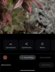 Screenshot_20240714-204419.png