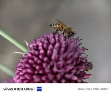 IMG_20240714_204607.jpg