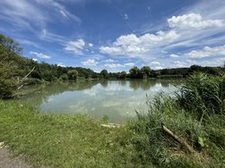 IMG_0930.jpeg