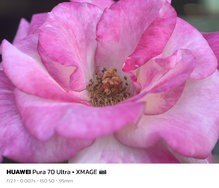 sukashi_20240715_170438.jpg