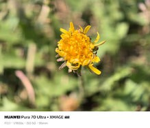 sukashi_20240715_155543.jpg