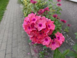 IMG_20240715_191647614.jpg