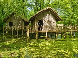 IMG_20240501_133109729.jpg