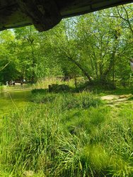 IMG_20240501_114015319.jpg