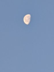 PXL_20240627_033812668.jpg