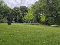 20240715_200434.jpg