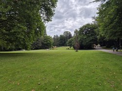 20240715_200459.jpg