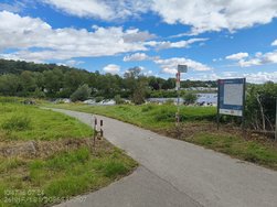 IMG_20240716_104712031.jpg