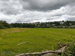 IMG_20240716_104901404.jpg