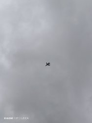 IMG_20240717_151048.jpg