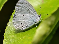 IMG_20240717_160636_376.jpg