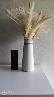 IMG20240717173938.jpg