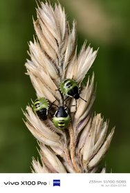 IMG_20240718_131944.jpg