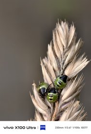 IMG_20240718_131503.jpg