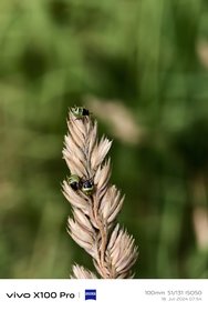 IMG_20240718_132004.jpg