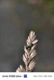 IMG_20240718_131517.jpg