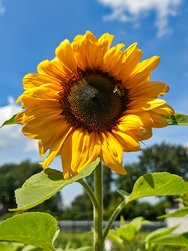 SGCAM_20240718_133825572.jpg