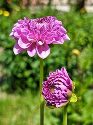 SGCAM_20240718_133601700.jpg