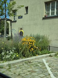 Aus-bewegendem-Auto.jpeg