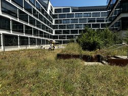 IMG_0266.JPG