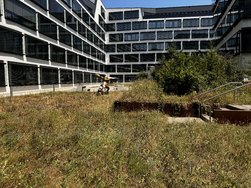 IMG_0267.JPG