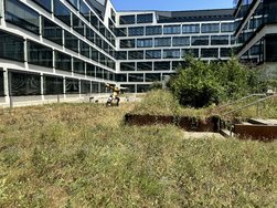 IMG_0268.JPG