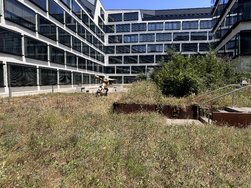 IMG_0269.JPG