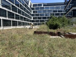 IMG_0270.JPG