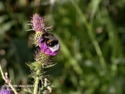 IMG_20240718_181957.jpg