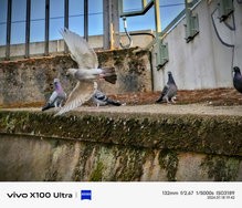 IMG_20240718_194531.jpg